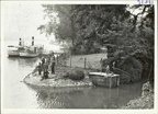 jeker stroom in de maas